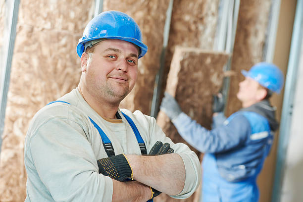 Best Insulation Maintenance and Repair in Carroll, IA